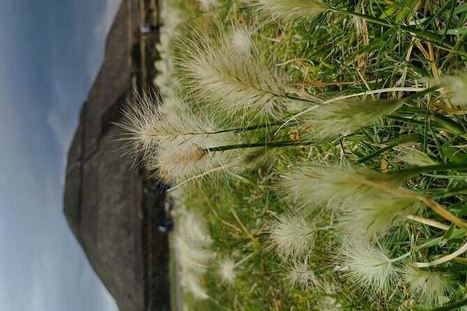 Teotihuacan Pyramids small groups and Basilica of Guadalupe - Who Would Love This Tour?