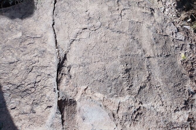 Teotihuacan Pyramids Tour - Pricing and Booking