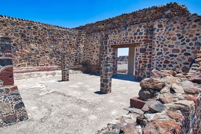 Teotihuacan, Shrine of Guadalupe & Tlatelolco All-Inclusive Tour - Positive Feedback and Recommendations