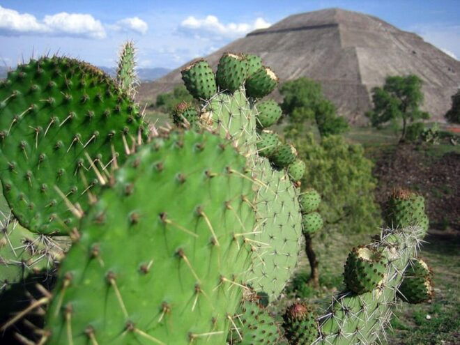 Teotihuacan: Visit Pyramids and Craft a Colorful Piñata - Teotihuacan Exploration