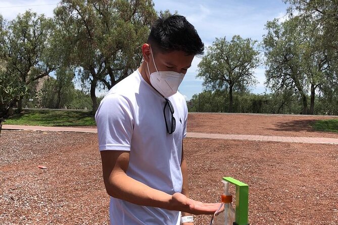 Teotihuacan Y Basilica De Guadalupe Private Tour - The Sum Up