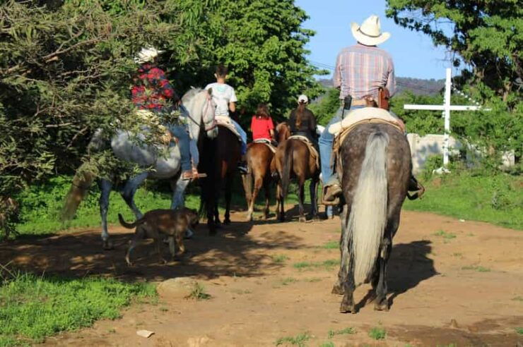 Tepoztlan: Horseback Riding Tour - Good To Know