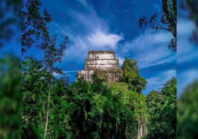 Tepoztlan: Lava Tunnel Hike Tour - Inclusions