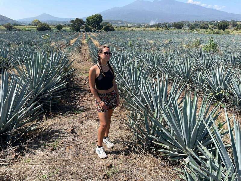 Tequila and Cantaritos Tour from Guadalajara - Who This Tour Is Perfect For