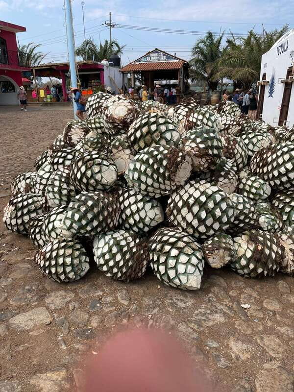 Tequila and Cantaritos Tour from Guadalajara - The Sum Up