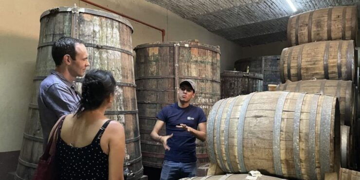 Tequila and Guachimontones in One Day! - Activity Details