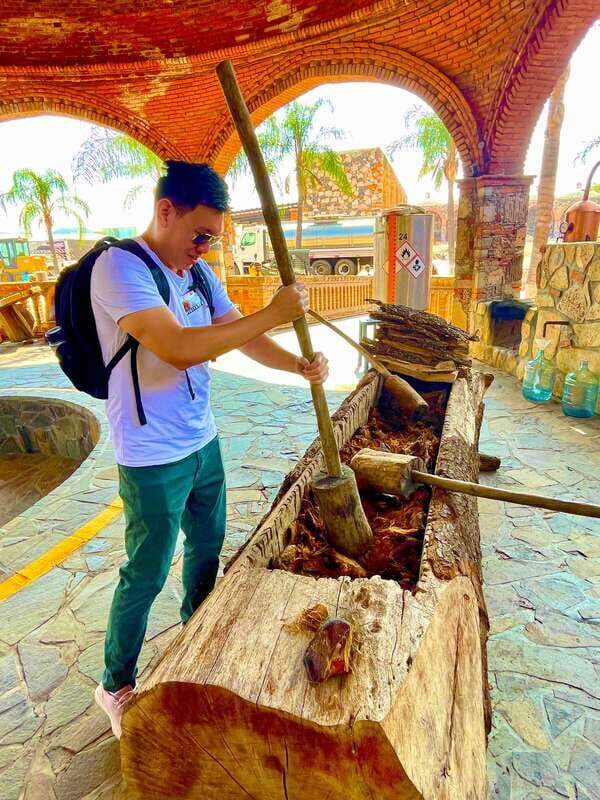 Tequila and Guachimontones: Private Full Day Tour - Introduction