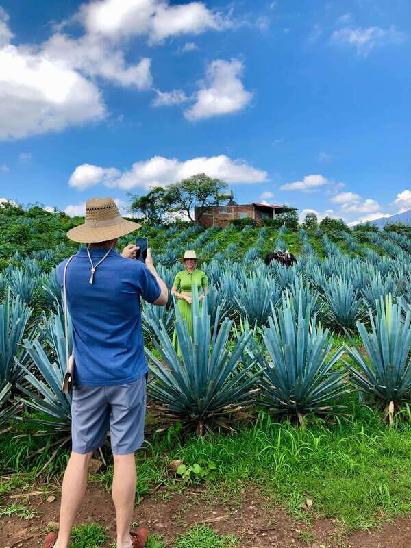 Tequila and Guachimontones: Private Full Day Tour - Good To Know