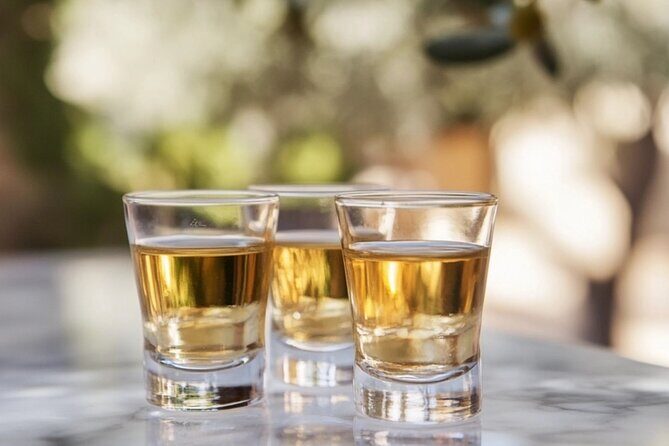 Tequila and Mezcal Tasting in Colonial Mansion Restaurante Diego - Practical Details and Tips