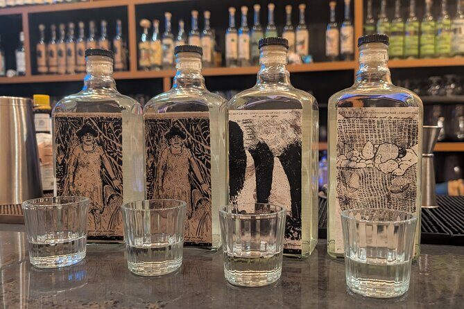 Tequila and Mezcal Tasting in DC - Introduction: A Taste of Mexicos Agave Spirit in DC