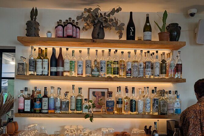 Tequila and Mezcal Tasting in DC - Good To Know