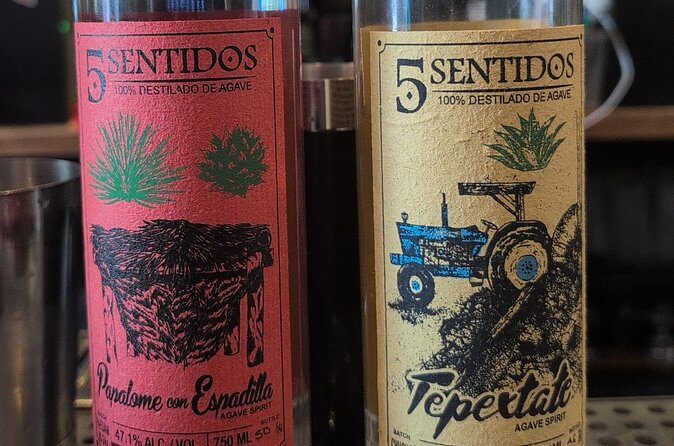 Tequila and Mezcal Tasting in DC - The Experience from the Review Perspective