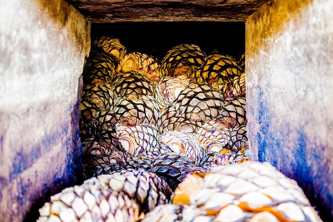 Tequila Day Experience Including Hacienda Cofradia With Lunch - Meeting and Pickup Information