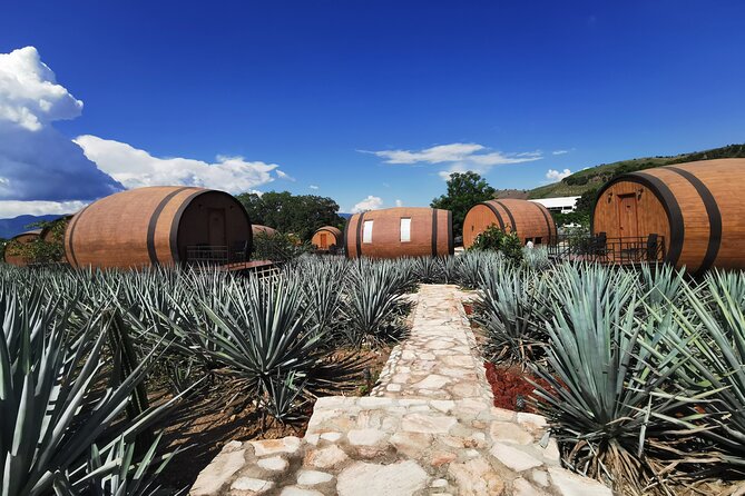 Tequila Day Experience Including Hacienda Cofradia With Lunch - Tour Highlights and Itinerary