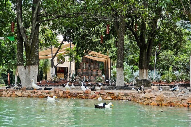Tequila Day Experience Including Hacienda Cofradia With Lunch - Directions
