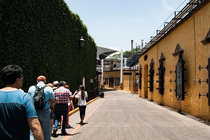 Tequila Distillery Experience, Jose Cuervo & Tequila Magic Town - Feedback and Issues