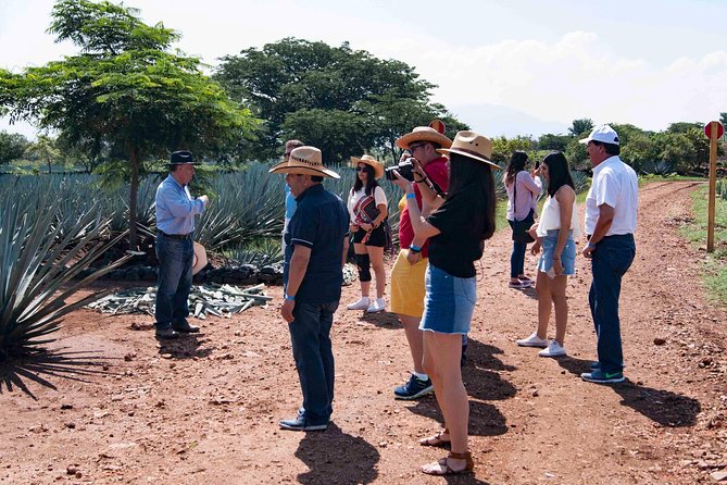 Tequila Distillery Experience, Jose Cuervo & Tequila Magic Town - Common Questions