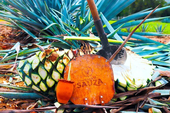 Tequila Express - A Closer Look at the Tequila Express Tour