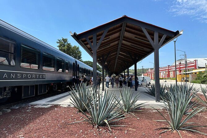 Tequila Express Round Trip by Train - Final Thoughts