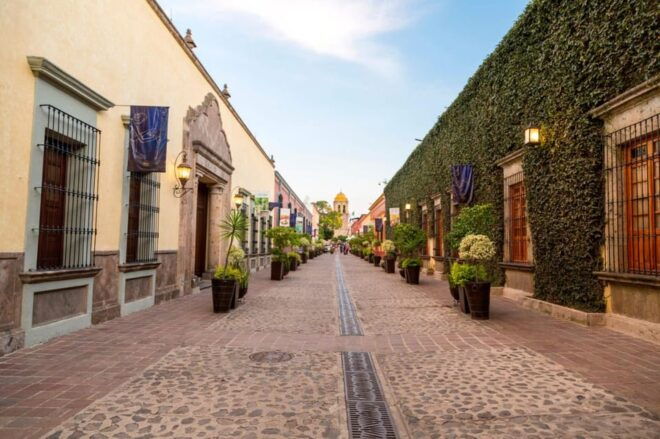 Tequila Full-Day Discovery Tour of Amatitan - Cultural and Culinary Experience