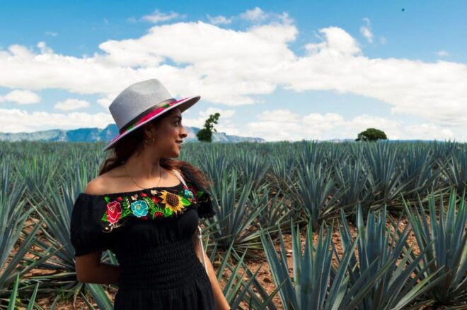 Tequila Full-Day Discovery Tour of Amatitan - Tequila Tres Mujeres Guided Tour