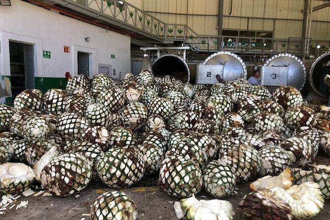 Tequila Full Experience! - Common Questions