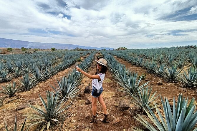 Tequila Full Experience! - The Sum Up