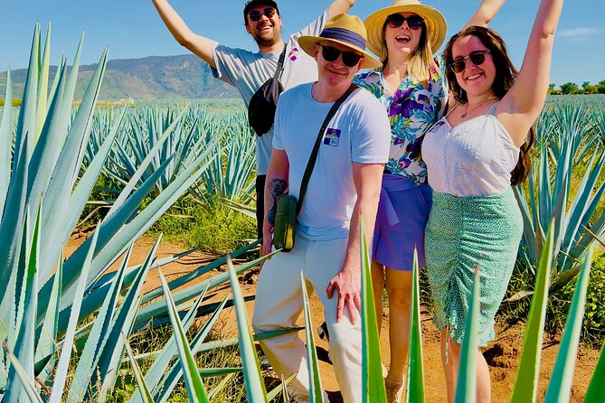 Tequila/Guchimontones Tour-Cultural Heritage Route - Traveler Photos and Experiences