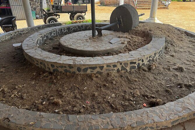 Tequila Jalisco Tour - Who is This Tour Best Suited For?