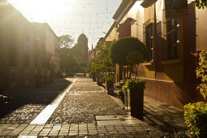 Tequila José Cuervo Tasting Guided Tour from Puerto Vallarta - Final Thoughts