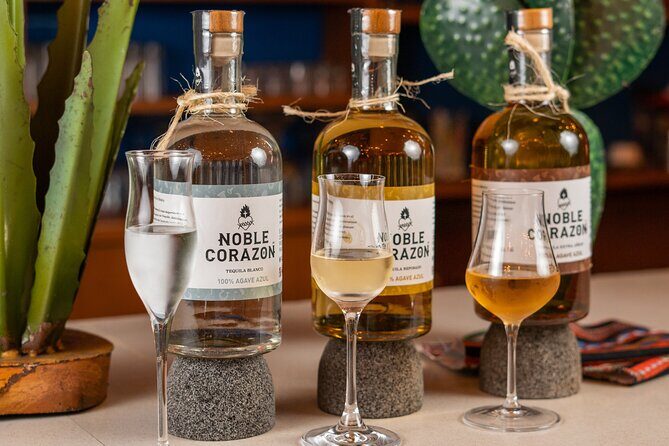 Tequila Tasting and Mixology Experience in Cancun - A Closer Look at the Cancun Tequila Tasting and Mixology Experience