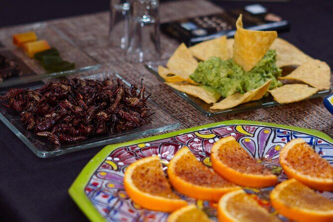 Tequila Tasting & Cocktail Workshop at Tequila Lighthouse - Cabo - Introduction to the Tequila Lighthouse Experience