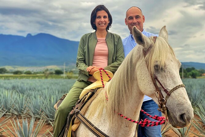 Tequila Tasting Experience and Lesson in Guadalajara - The Process of Making Tequila