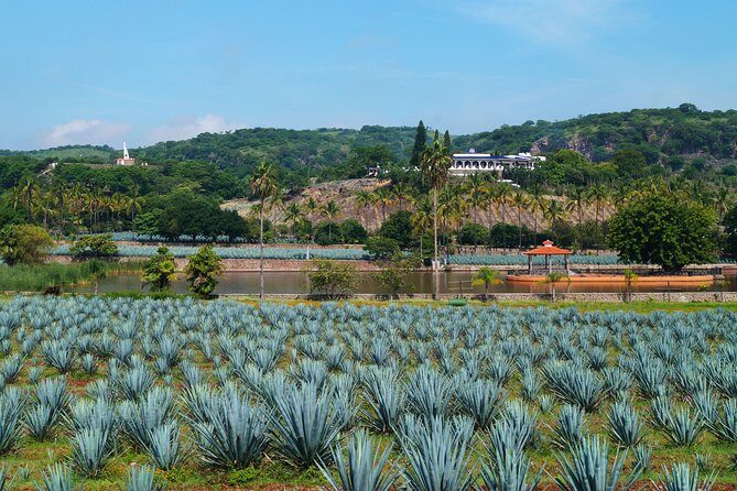 TEQUILA, The Spirit of Mexico PRIVATE TOUR - The Value Factor