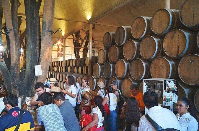 TEQUILA, The Spirit of Mexico PRIVATE TOUR - Practical Tips for Travelers