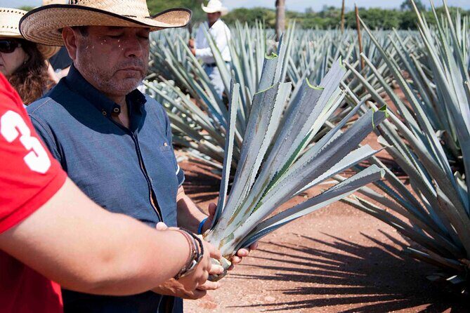 Tequila tour visiting a local brewery - Final Thoughts