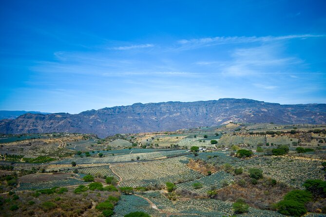 Tequila Tour With Tasting. - Distillery Visits and Behind-the-Scenes