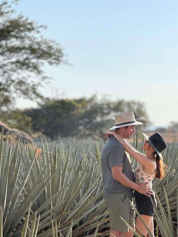 Tequila: Town and Distillery Guided Tour with Tastings - Authentic Experiences that Make a Difference