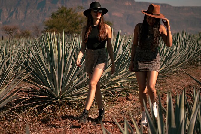 Tequila VIP Experience (Private Tour) - Tour Highlights