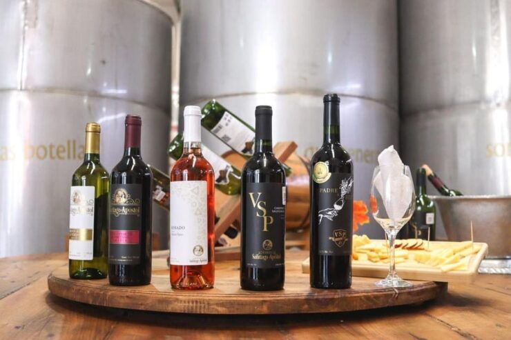 Tequisquiapan: UTV Adventure With Winery and Cheese Tasting - Good To Know