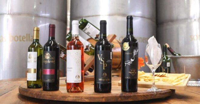 Tequisquiapan: UTV Adventure With Winery and Cheese Tasting - Experience Highlights