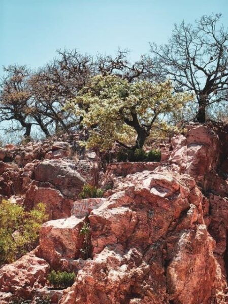 Tequisquiapan: UTV Tour to Opal Mine With Art Workshop - Frequently Asked Questions