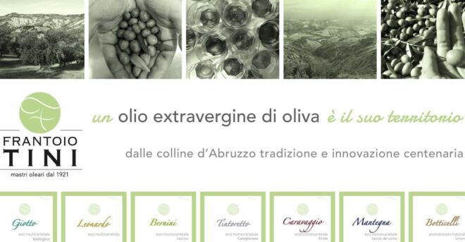 Teramo: Private Oil Mill Tour and Guided Tasting - Experience Details