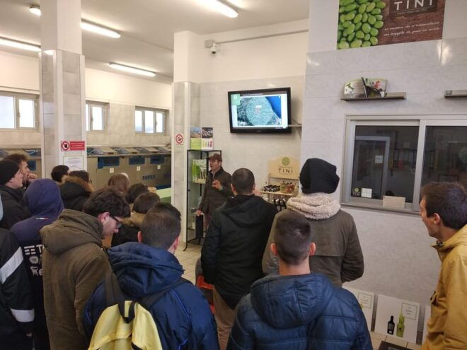 Teramo: Private Oil Mill Tour and Guided Tasting - Tasting and Education