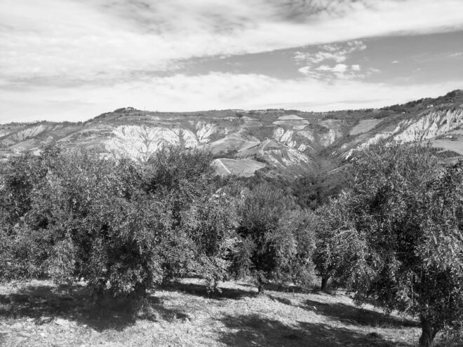 Teramo: Private Oil Mill Tour and Guided Tasting - Inclusions and Additional Information