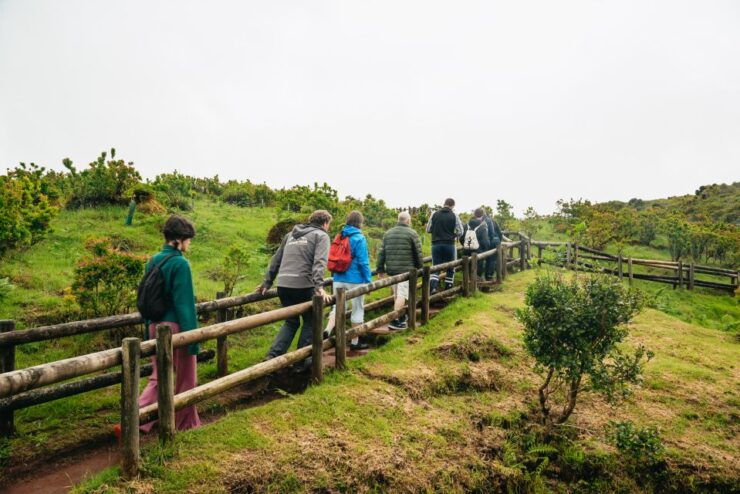 Terceira: Algar Do Carvão Lava Caves Tour - Experience Highlights