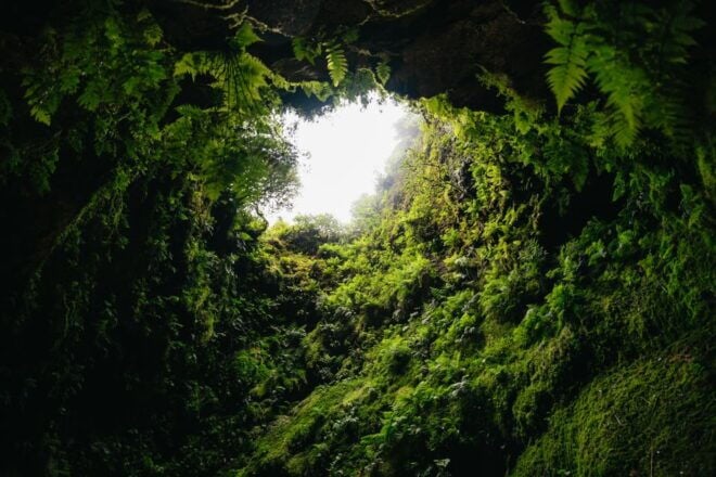 Terceira: Algar Do Carvão Lava Caves Tour - Review Summary