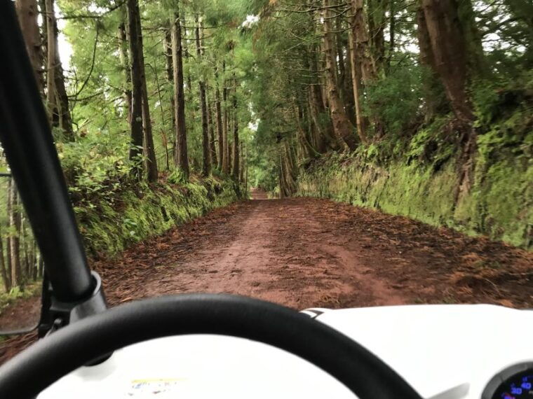 Terceira: Buggy Tour 4x4 West Side Azores Retreat - Who Will Love This Experience?