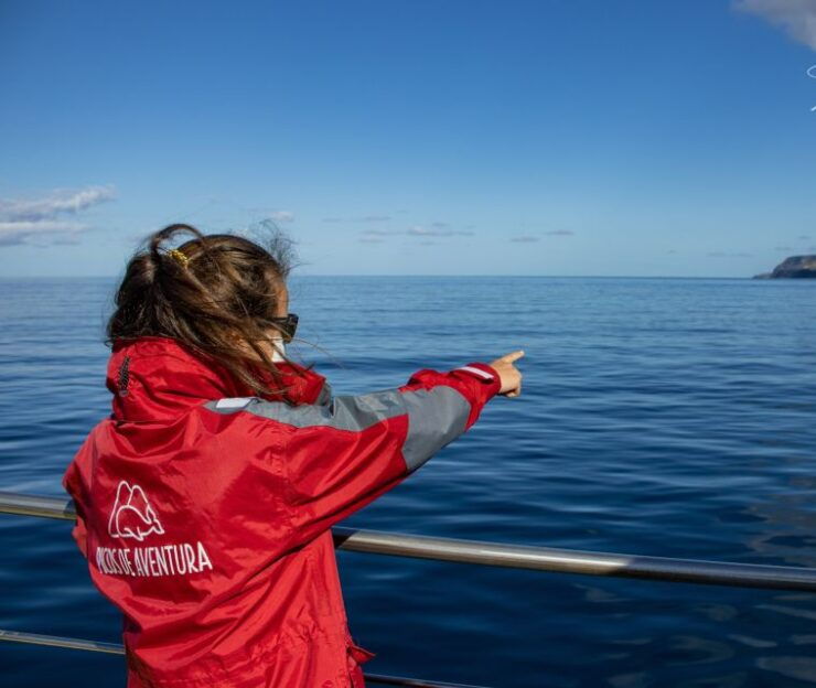 Terceira: Half-Day Dolphin and Whale Watching Tour - Booking Details