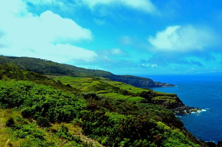 Terceira: Half-Day Island Tour With Cheese Tasting - Experience Highlights